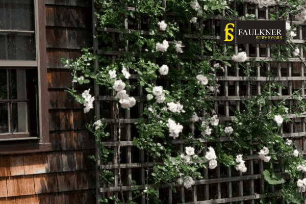Can I put trellis on my Neighbours garage wall? 1 Can you add a trellis to your neighbours garage wall Welling ? Party Wall Surveyors Welling