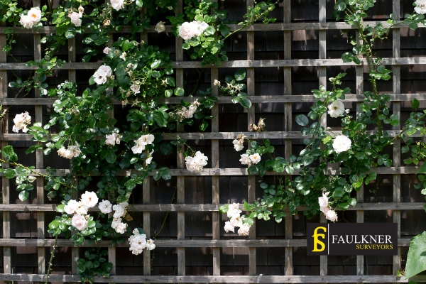 Can I put trellis on my Neighbours garage wall? 2 Do you want to adapt your neighbours garage door and add a trellis Welling? Talk to Faulkner Surveyor Welling